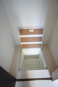 プラシデス 105号-6