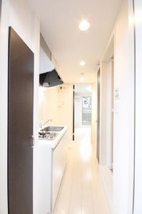 プラシデス 105号-8