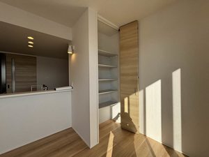 グランウェーブ湘南 202号-3