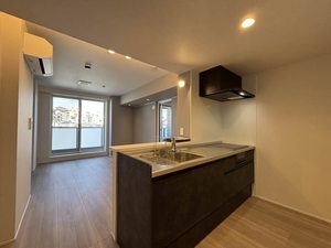 グランウェーブ湘南 303号-2