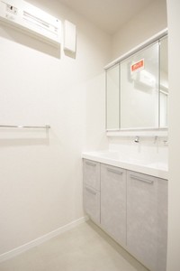 メゾン オルジュ 301号-8