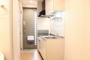 シティハイツ川崎 302号-6