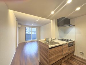 グレイス南林間 201号-3