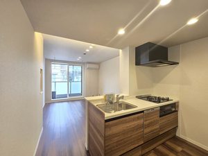 グレイス南林間 203号-4