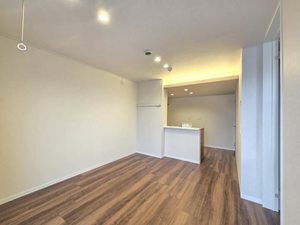 グレイス南林間 303号-3