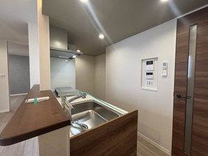 シャーメゾン大和東レジデンス 301号-8