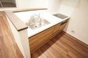 MAISON DE HINODE 201号-3