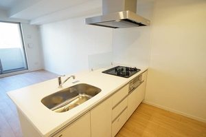 フェリーチェ紅葉坂 302号-5