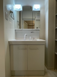 レフィシア 101号-7