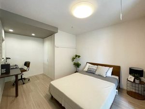 コンフォーザ 102号-6