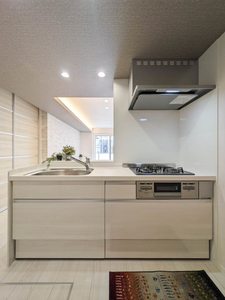 クリスフォート 102号-4