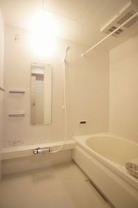 Ｒｙｕｓｅｉ横浜 101号-9