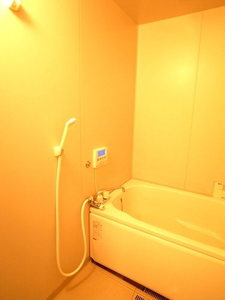 グリーンハイツ城山A棟 202号-4