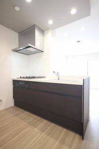 スカイレジデンス 302号-10