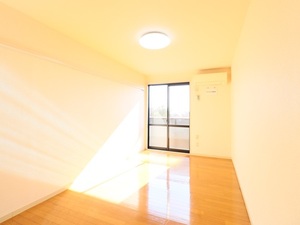 マーベラスハイツⅠ 102号-8