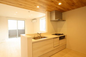 ヒルズスカイガーデン 201号-2