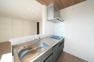 ポルトボヌール 201号-8