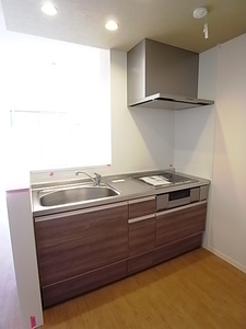 メゾン春 203号-4