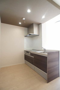 ヒルズ フェミナ 102号-3