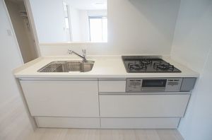 Ｆｅｌｉｓｅｅｄ 202号-3