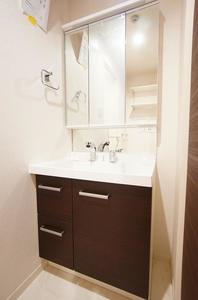 カーサミモザ 301号-9