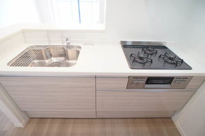 フォーシーズン 305号-5