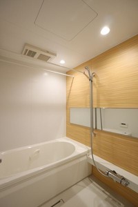 コンスティテューション 103号-13