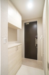 Ｍａｇｎｏｌｉａ 203号-8