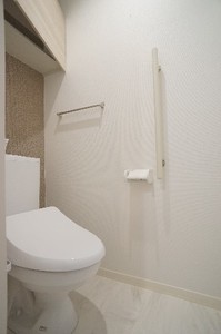 Ｍａｇｎｏｌｉａ 203号-11