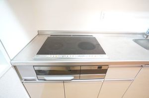 マストライフ本厚木　Ⅰ 305号-11