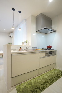 Rizmy Mansion 102号-4