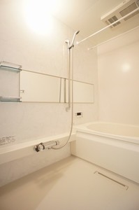 Ｒｉｚｍｙ　Ｍａｎｓｉｏｎ 305号-8