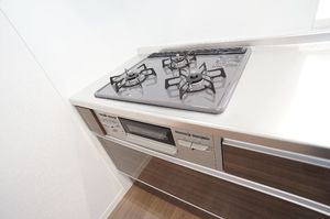 ブルーメン 203号-3