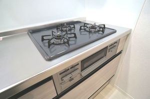 ラピス　イースト 201号-5