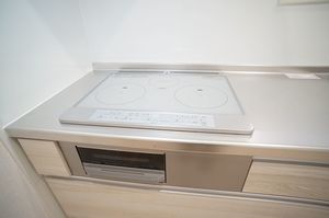 ベルグリシーヌ 203号-5