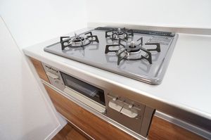 セント　ホルン 102号-8