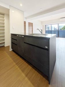 リブス本厚木 302号-4