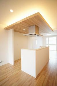 アクアリーシェⅢ 201号-3