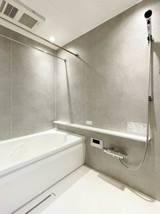 ラ・ルーム厚木町 401号-10