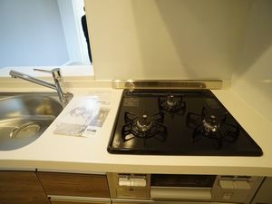 リラフォート由比ガ浜 303号-9