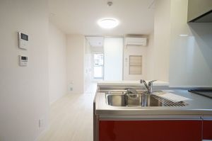 サンウィステリア 203号-3