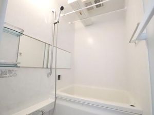 グリーンカーサ長後 201号-11