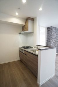 アシリア染 202号-5