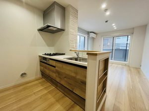 プラスシティ藤沢 203号-3