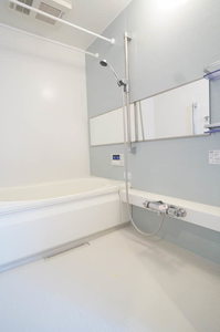 フリージアザマ 201号-9