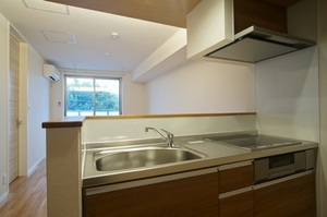 セレナ ヴィラ 303号-3