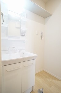 メホールカーサ　Ⅰ 101号-8