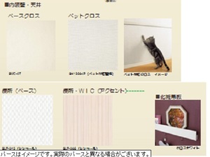 ヒメシャラ 101号-3