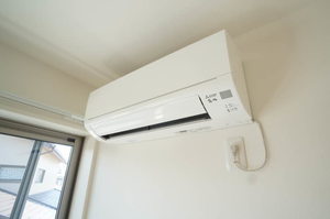 ヒメシャラ 303号-3