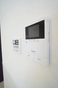 ヒメシャラ 303号-4